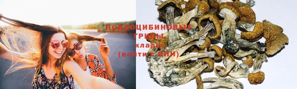 а пвп мука Алзамай