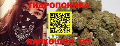 стаф Малгобек