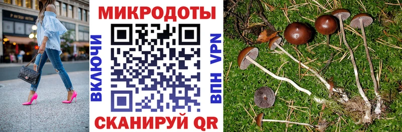 Псилоцибиновые грибы ЛСД Нарьян-Мар