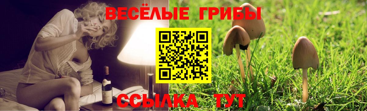 Нарьян-Мар  Галлюциногенные грибы GOLDEN TEACHER  Вход с VPN  Псилоцибиновые грибы мицелий 